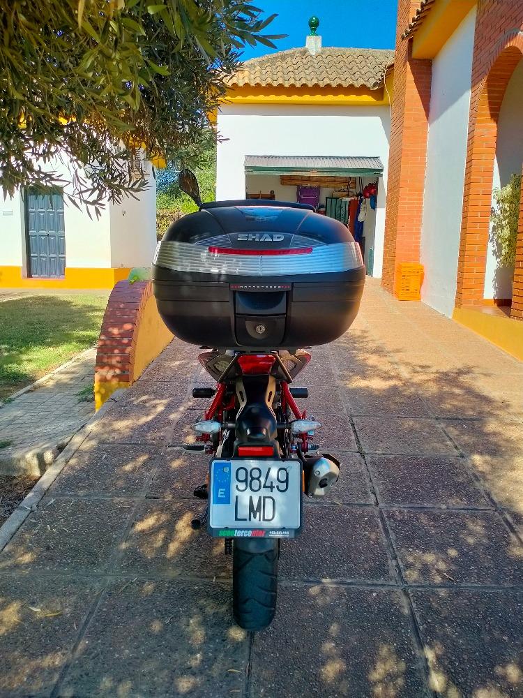 Moto BENELLI BN 125 de segunda mano del año 2021 en Córdoba