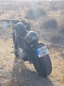 Moto HARLEY DAVIDSON SPORTSTER 883 de segunda mano del año 2004 en Almería