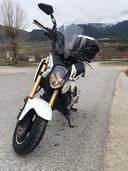 Moto HONDA MSX 125 Grom de segunda mano del año 2014 en Lleida