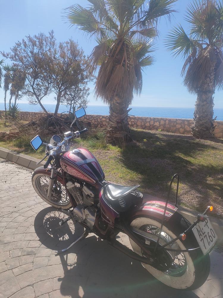 Moto HONDA SHADOW 600 de segunda mano del año 1991 en Almería