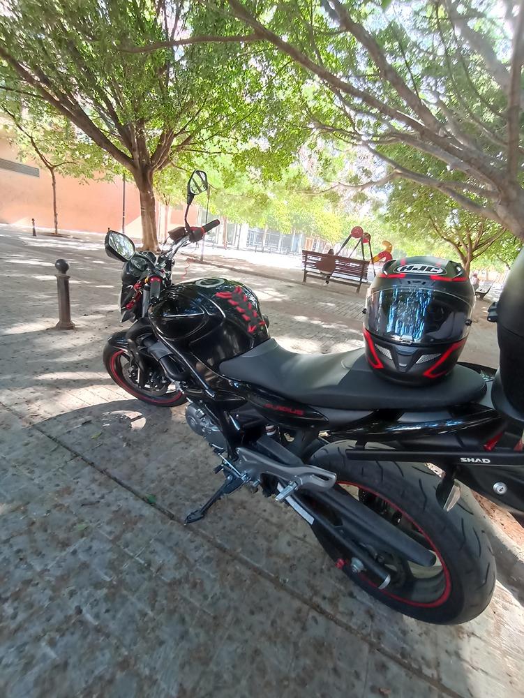 Moto SUZUKI GLADIUS 650 de seguna mano del año 2014 en Valencia