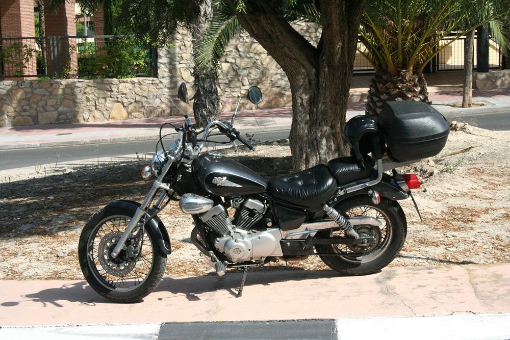 Moto YAMAHA XV 250 VIRAGO de segunda mano del año 1998 en Alicante